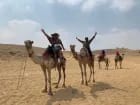 15 Days Egypt USA Pyramids Camel | Egypt For Travel